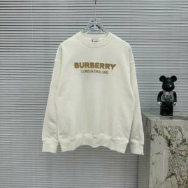 Picture of Burberry Sweatshirts _SKUBurberryS-XXLtltn5424901